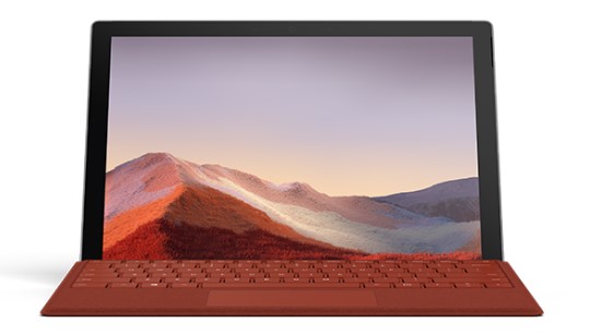 叶县清洁和维护 Surface